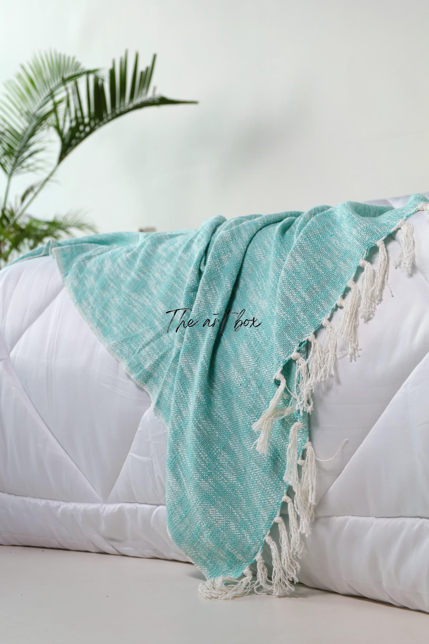 Mint Solid Color Throw